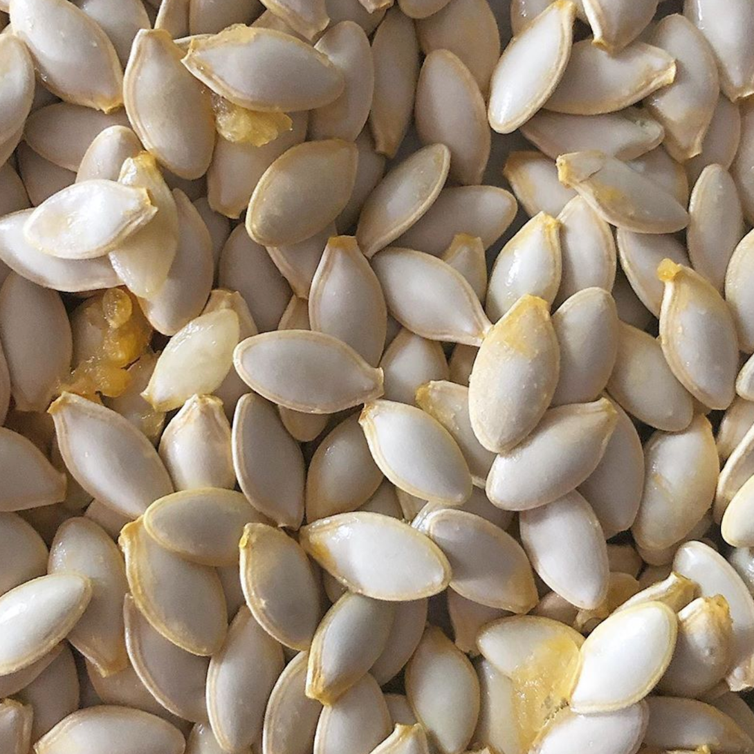 Seed Saving 101: How to Guide on Keeping Seeds The Young Nonno Seed Saving 101: How to Guide on Keeping Seeds The Young Nonno