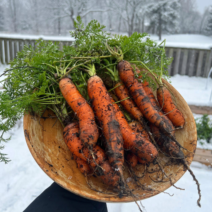 Yes, You Can Have A Garden In December (Even In Cold Climates)